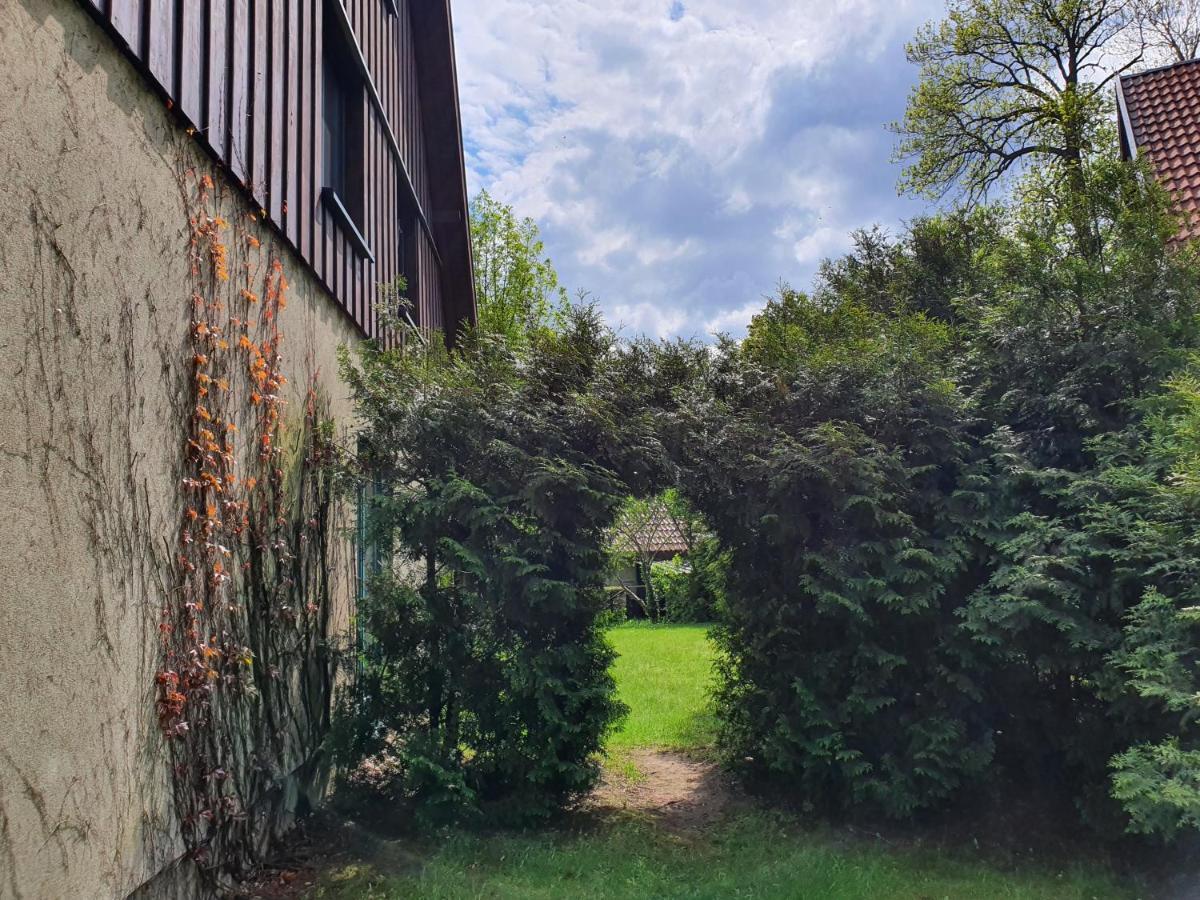 Ferienhaus Hase Villa Burg  Exterior foto